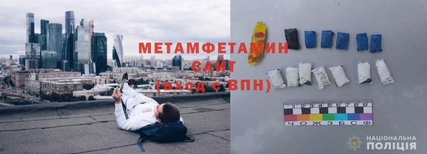 прущие грибы Белокуриха