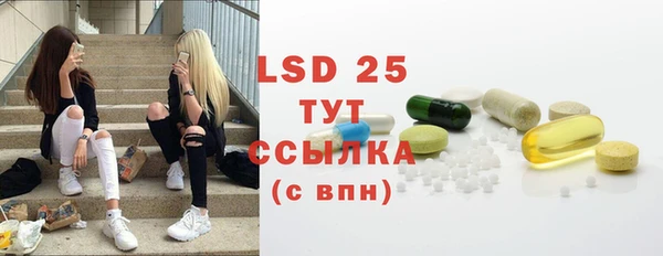 прущие грибы Белокуриха