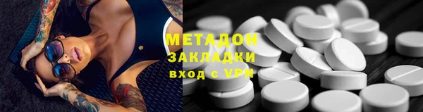 стаф Тайга