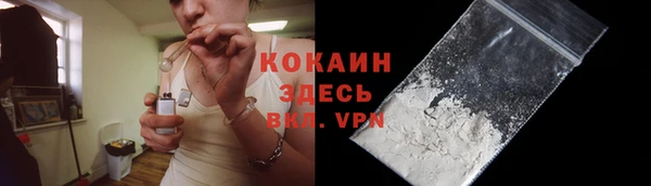 прущие грибы Белокуриха