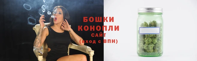 дмт Тавда