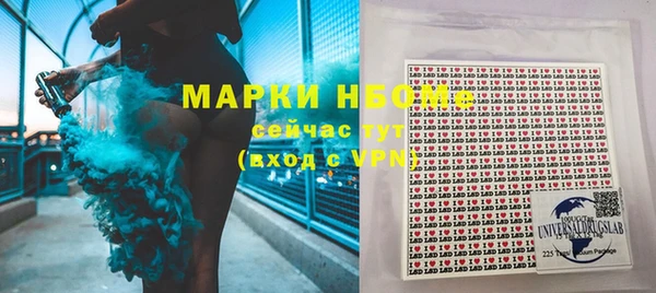 гашик Богданович