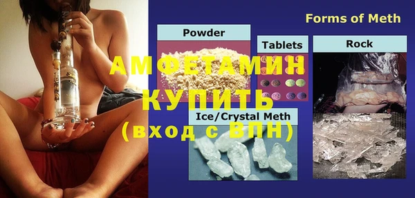 прущие грибы Белокуриха