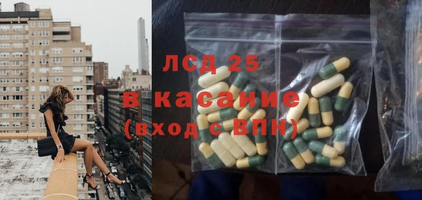 гашик Богданович