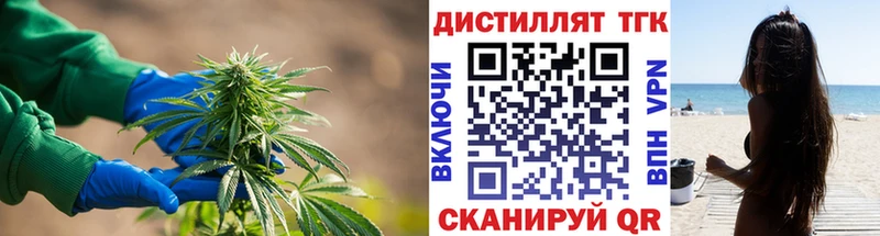 даркнет Telegram  Мурино  Дистиллят ТГК гашишное масло 