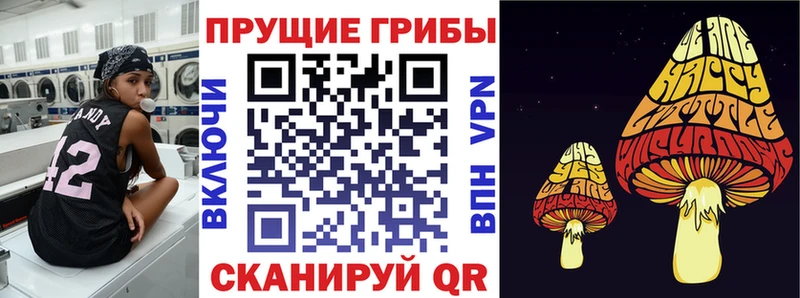 Галлюциногенные грибы мицелий  Мурино 